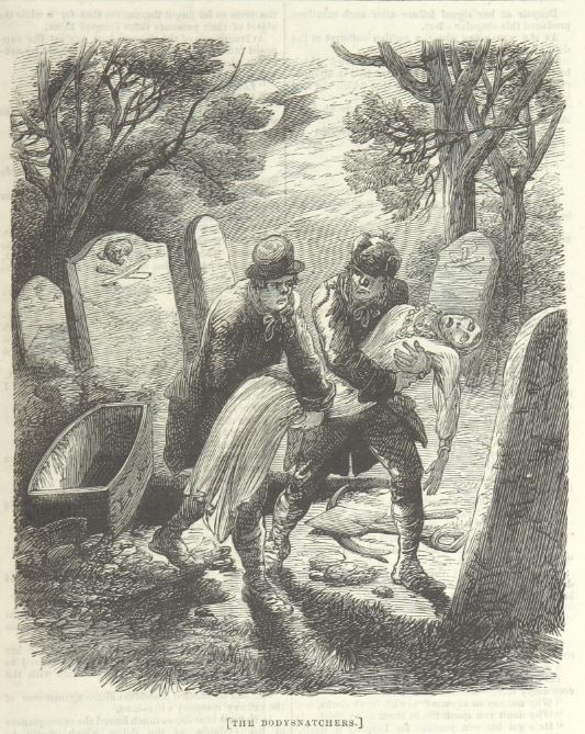 body snatchers with rotted corpse 1865